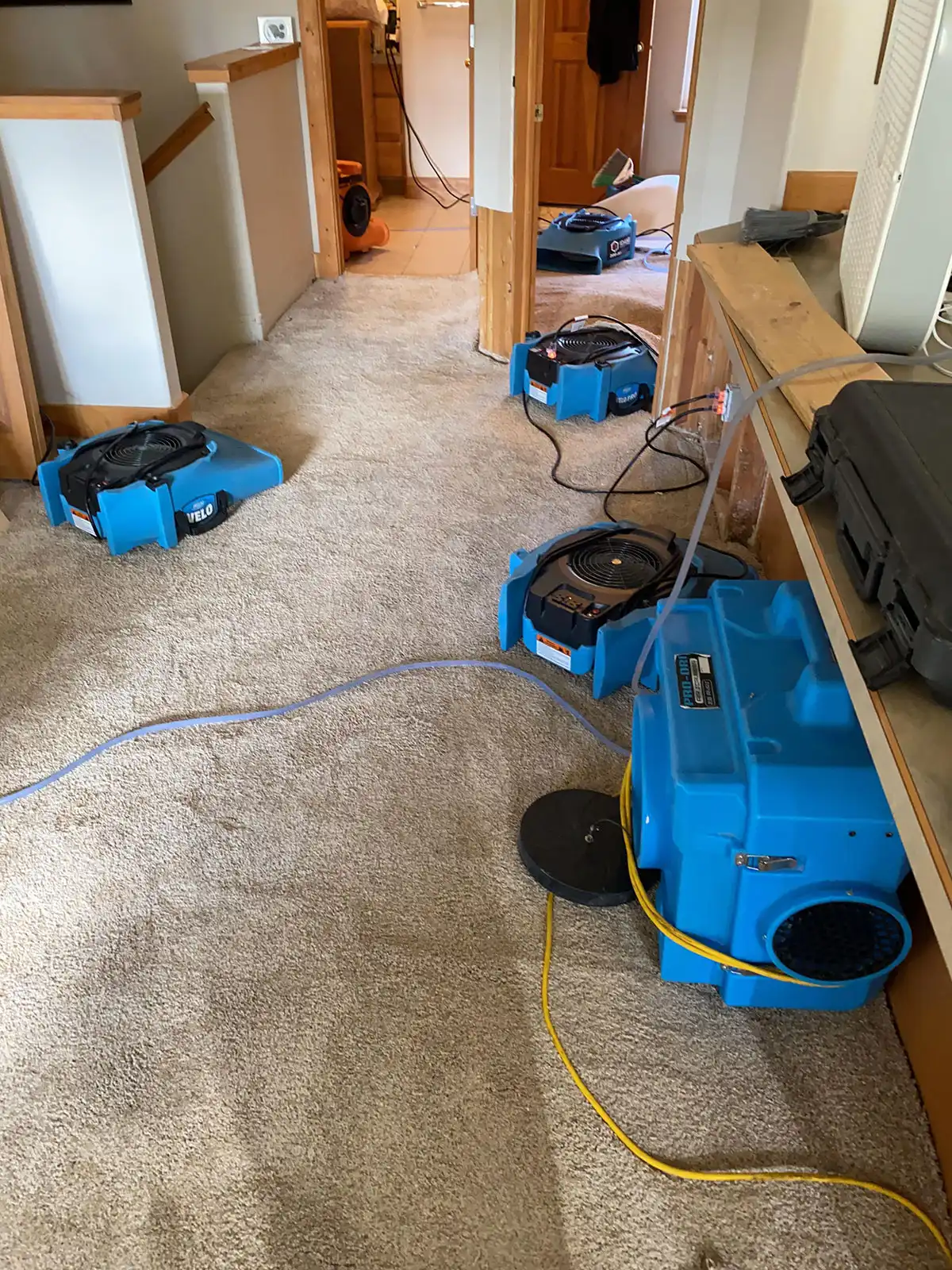 blue floor fans drying carpeted room