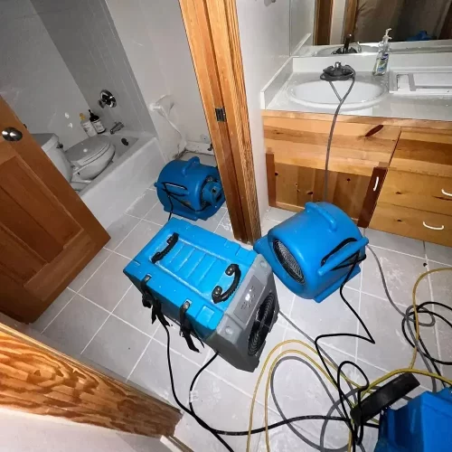 blue floor fans drying bathroom floor