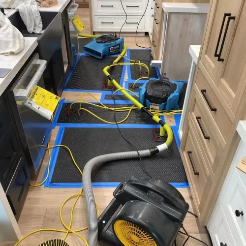 blue and black floor fans drying commercial floor